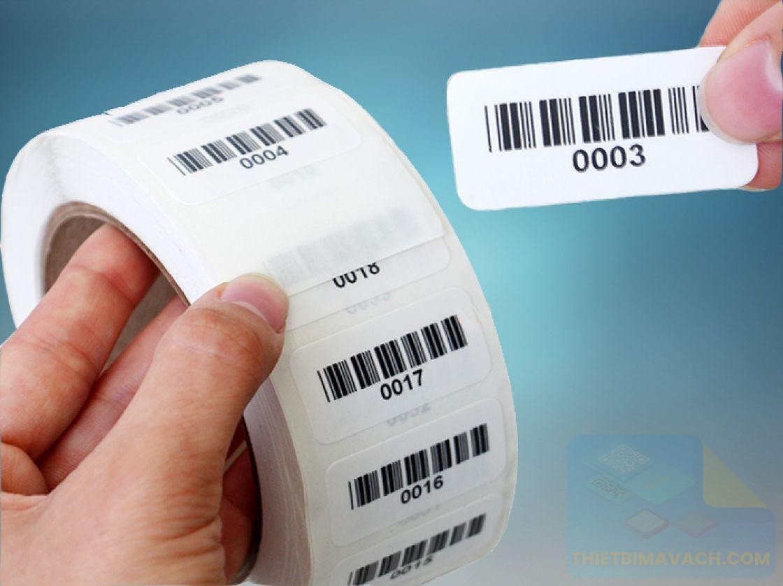 Giấy In Mã Vạch: Hướng Dẫn Chọn Lựa - ảnh 1